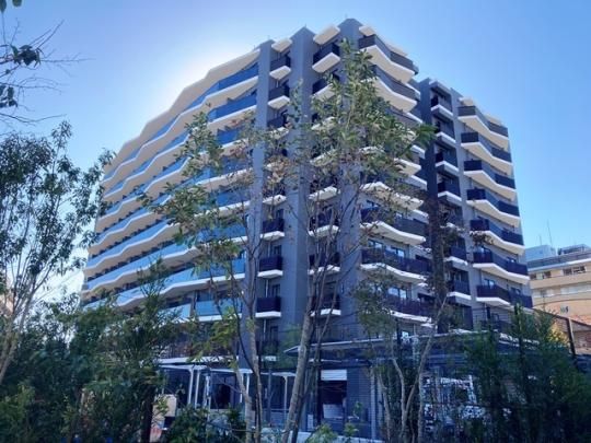 �q�i�q�v���V�A���\���K�[�f���̊O�ω摜