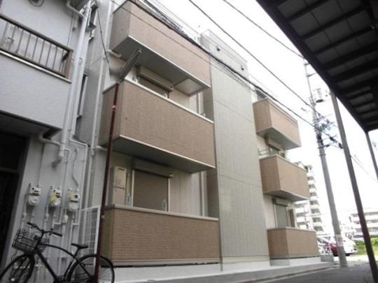 �G�N�Z���A�k���̊O�ω摜