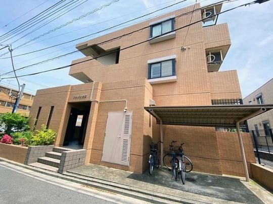 �A�N�V�X��{�̊O�ω摜