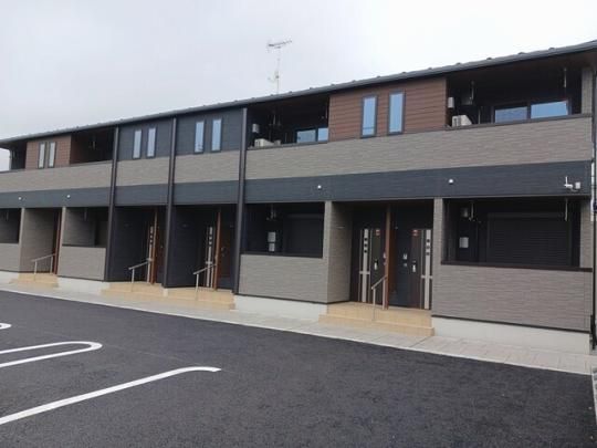 �l�I�u���C�c�T�̊O�ω摜