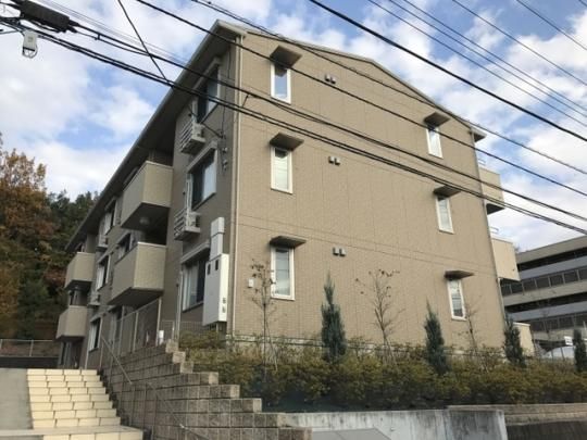 �Z�W���[�����t�B�l�̊O�ω摜