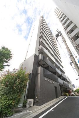 �G�X�p���[�}�ڔ��̊O�ω摜