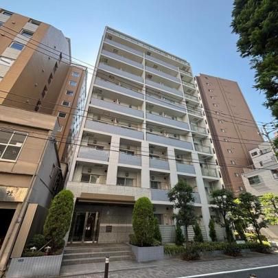 �p�[�N�A�N�V�X�l�����̊O�ω摜