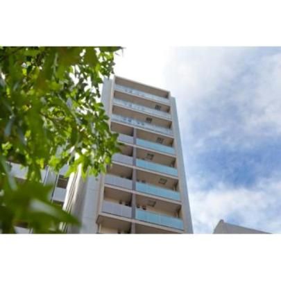 �p�[�N�A�N�V�X�V��k���d�������̊O�ω摜