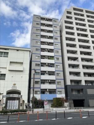 �J�X�^���A���J�̊O�ω摜