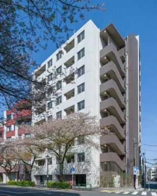 �b�q�d�`�s�h�e����̊O�ω摜