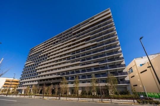 ���C�����p�[�N�X�L���̊O�ω摜