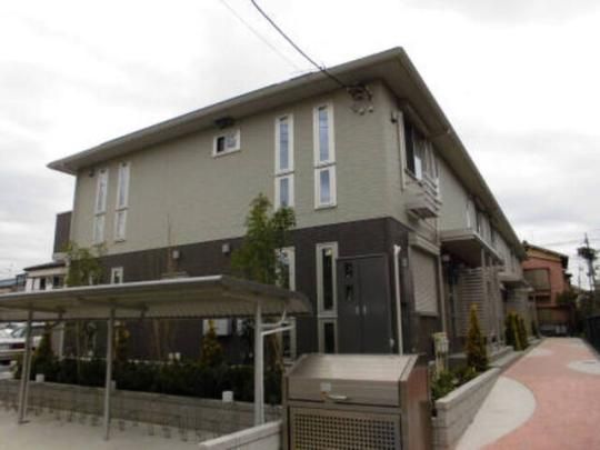 NS�n�C�c�V�̊O�ω摜