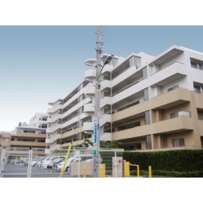 �k�[�x�����B���[�W���Ђ΂�̊O�ω摜