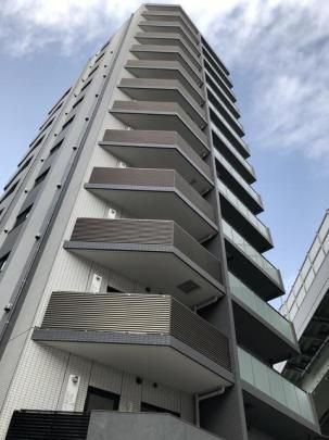 �A�C�����q�m���h�̊O�ω摜