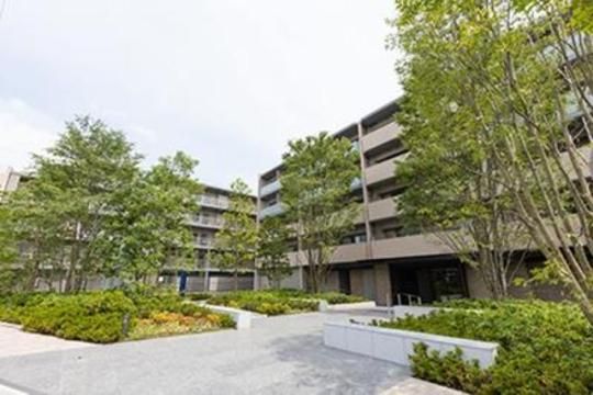 �A�r�e�B�O�����f�m�@�i�a���j�̊O�ω摜