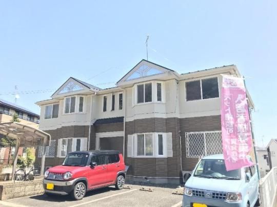 �J�T�E�x���f�̊O�ω摜