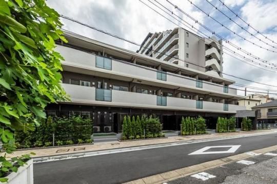 �p�[�N�A�N�V�X���z�����W�f���X�̊O�ω摜