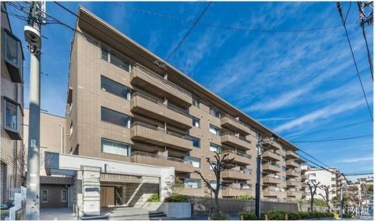 �Q�{���}���V�����̊O�ω摜