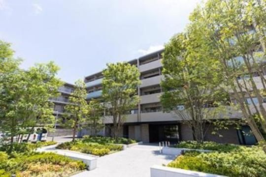 �A�r�e�B�O�����f�m�@�i�a���j�̊O�ω摜