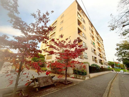 nOώʐ^ uw߁vɏǂ͂ȂIƂl̕Ǝv܂Bʗ֐EƗ֐]ƂȂw߂̗ǂl܂n͖͂̉łiBeF2025/11/7j