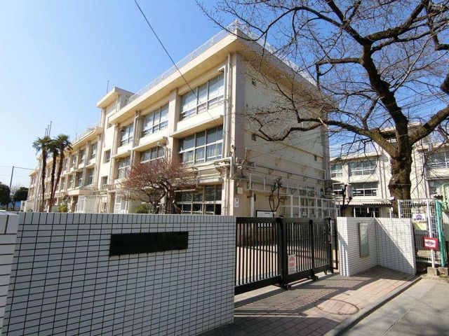 ӊ n旧֒wZ k10B 730m