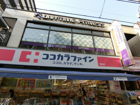 ���ӊ� �R�R�J���t�@�C���֒��X �k��15���B 1140m