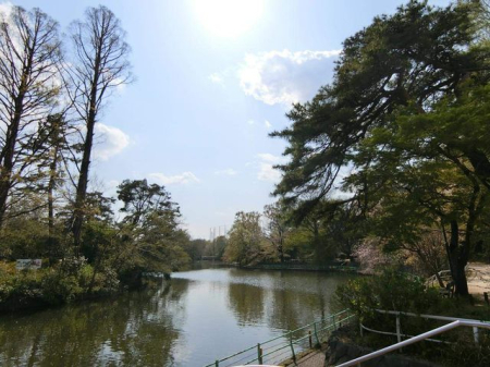 ���ӊ� �����֌��� �k��6���B 470m