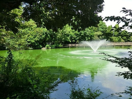 ���ӊ� ��̓����� �k��51���B 4010m