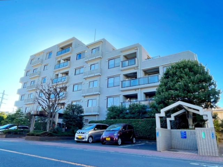 ���n�O�ώʐ^ ������~�蒍�����z�̓��𗁂тāA�Ƒ��S�������猳�C��t�ɉ߂��������I