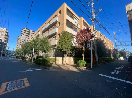 ���n�O�ώʐ^ �u�w�߁v����ɏ���ǂ��͂Ȃ��I�Ƃ��l���̕�������������������Ǝv���܂��B��ʗ��֐��E���Ɨ��֐��]�����ƂȂ��w�߂̗ǂ����l�܂������n�͖��͂̉�ł���i�B�e���F2025�N11��17���j