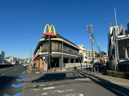 ���ӊ� �}�N�h�i���h1�����r��X �k��4���B 260m