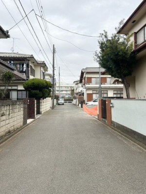 ���̑� ���̑�