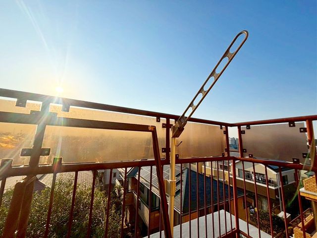 ���̑� �����Ղ���󕨂������郋�[�t�o���R�j�[�͎��p�I�Ȃ����łȂ��A�v�����^�[��u���ăK�[�f�j���O��ƒ�؉����y���ނ��Ƃ��ł������ɍʂ��������ԂƂ��Ă��g���܂���i�B�e���F2026.3.25�j