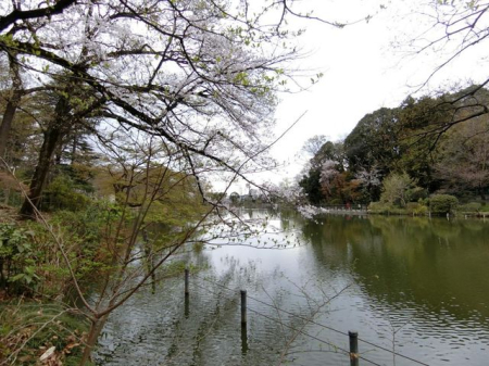 ���ӊ� �P�����k�Βn �k��6���B 420m