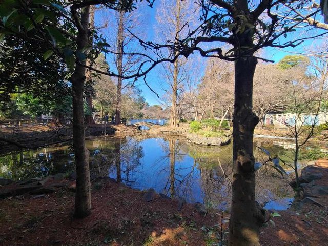 ���ӊ� ��̓��������� �k��18���B 1380m