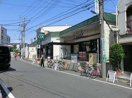 ���ӊ� �I�_�L���[OX�O���X �k��7���B 510m