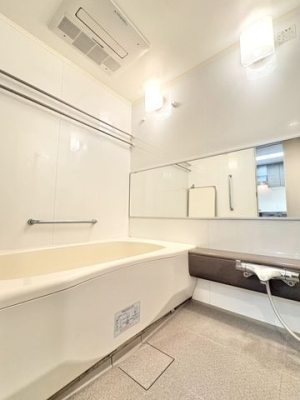 ���̑� ���̑�