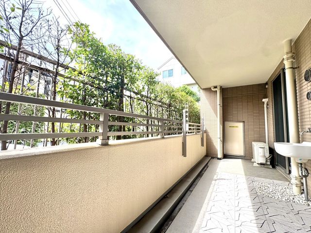 ���̑� ���̑�