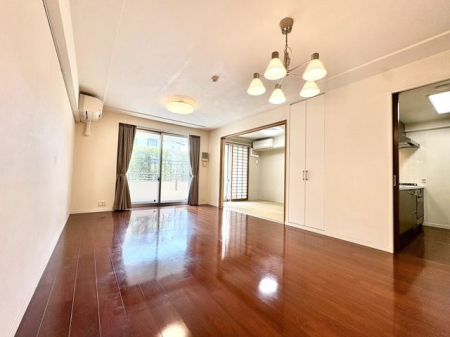 ���̑� ���̑�