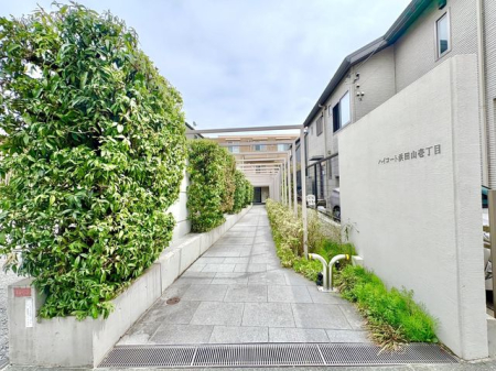 ���̑� ���̑�