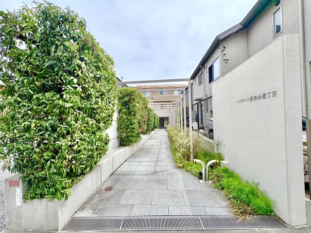 ���̑� ���̑�