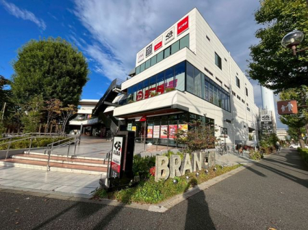 ���ӊ� �u�����`���z �k��13���B 990m