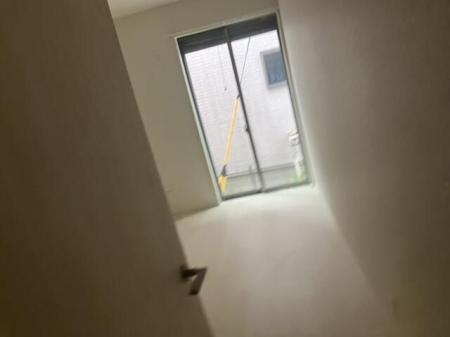 ���̑� ���̑�