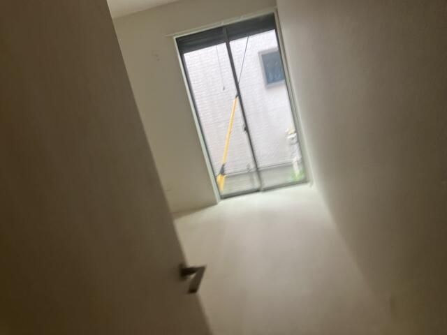 ���̑� ���̑�