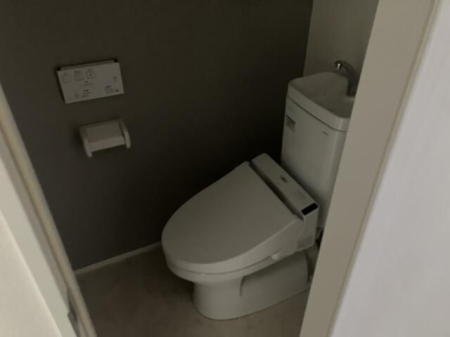 ���̑� ���̑�