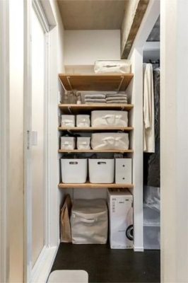 ���̑� ���̑�