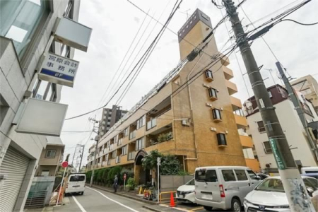 ���̑� ���̑�