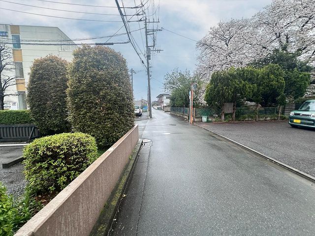 ���̑� ���̑�