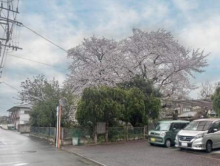 ���̑� ���̑�