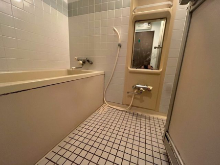 ���� �������Ƃ������j�b�g�o�X�ł���i�B�e���F2026.4.29�j