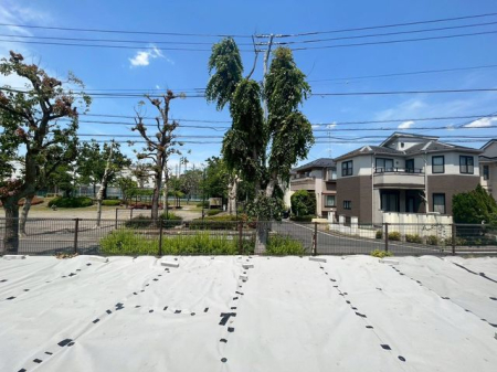 ���n�y�n�ʐ^ �����R������邨�Ƃ����Ă邱�Ƃ��ł��܂��B���D���ȃn�E�X���[�J�[�Ō��Ă��܂��B�����ŎQ�l�v�������܂��I�i�B�e���F2026.5.13�j