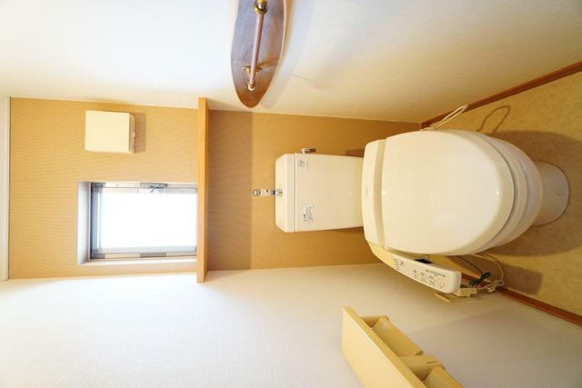 ���̑� ���̑�