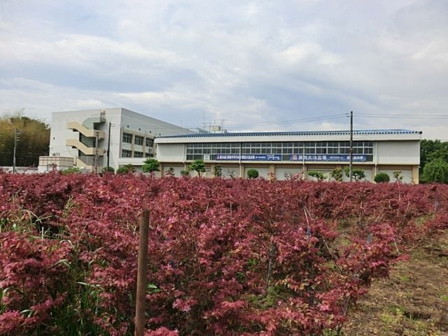 ���ӊ� �O��s���掵���w�Z �k��23���B 1780m