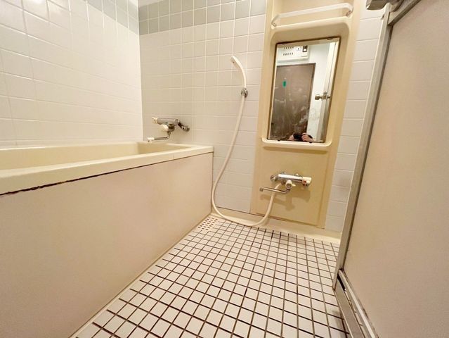 ���� �������Ƃ������j�b�g�o�X�ł���i�B�e���F2026.4.29�j